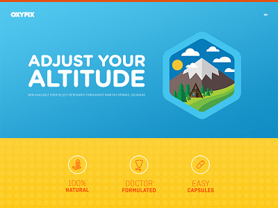 Oxy Fix Web colorado landing page ui ux web design
