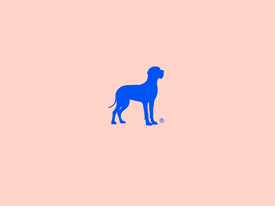 Miss Dog branding graphic design logo symbol