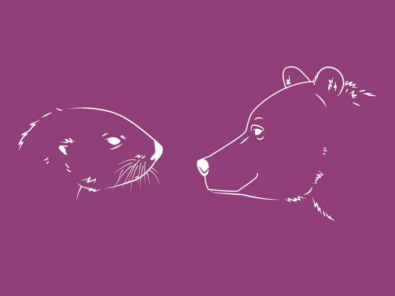 Bear And Otter #2 2d line vector illustration wildlife animals aquarium zoo otter bear