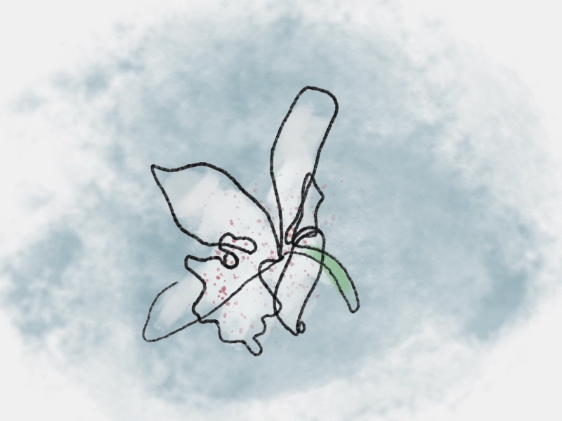 Blind Contour; Rotating Orchid