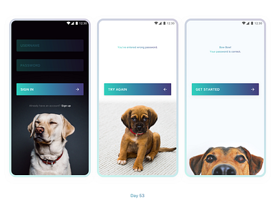 Daily UI Challenge: Day 53 Simple Sign In Flow android app daily ui challenge ios app log in register sign in sign up simple ui design ux design