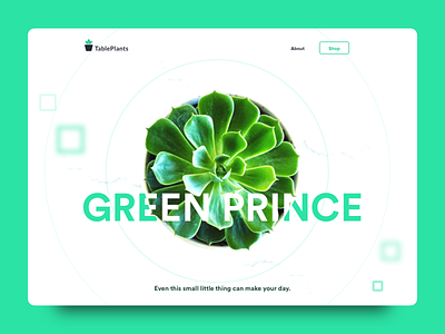 Daily UI Challenge: Day 96 Website for Tableplants bonsai cactus daily ui challenge ecommerce interaction design plants succulents table plants ui design ux design web design website