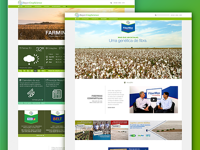 Web Portal Bayer CropScience bayer channel cropscience design interface layout page portal site ui web website