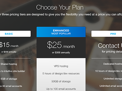 Choose Your Plan Design conversion optimization desktop landing page pricing pricing tiers ui web design