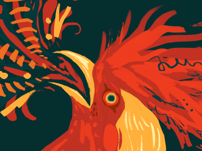 Fire Rooster chinese new year bird animal fire illustration rooster