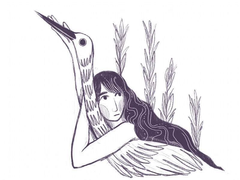 Crane calm plant woman sketchbook bird illustration
