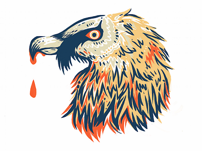 Lammergeier bird icon sticker vulture