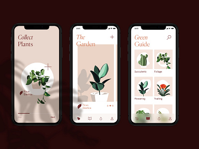 Verde App foliage illustration minimal plants product design ui