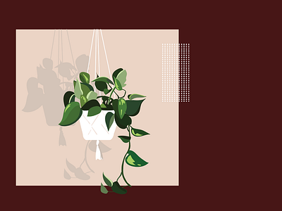 Verde App Illustrations app foliage illustration plants