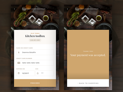 Credit Card Checkout - DailyUI #002 - full preview 002 android app checkout credit card dailyui ios mobile payment ui