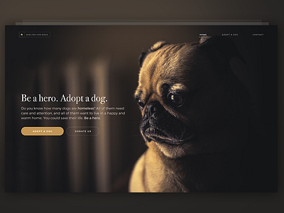 Landing Page - DailyUI #003 003 animal dailyui dog hero landing page serif shelter ui