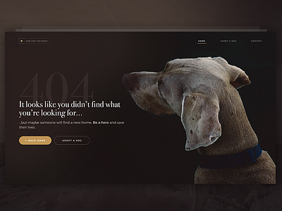404 Page not found - DailyUI #008 008 404 animal dailyui dog landing page not found shelter ui web website