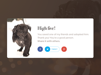 Social Share - DailyUI #010 010 dailyui dog high five popup share shelter social social share thank you thanks ui