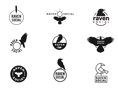 Raven Social Concepts concept logo photography raven