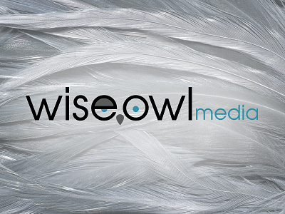 Wise Owl Media branding logo owl wink