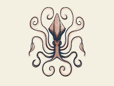 Squid Sketch biology digitalart illustration ink marinelife ocean octopus procreate sea sketch squid watercolor