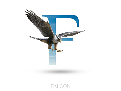 Falcon adobe photoshop alphabet black wolf creative f falcon typography