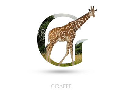 Giraffe adobe photoshop alphabate black wolf creative g giraffe typography