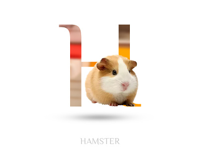 Hamster adobe photoshop alphabate black wolf creative h hamster typography