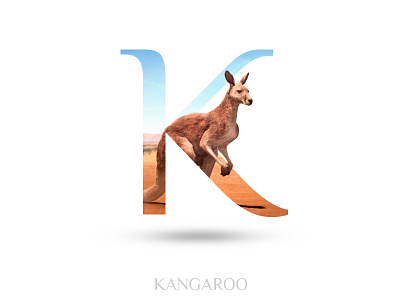 Kangaroo adobe photoshop alphabate black wolf creative graphics design k kangaroo typography