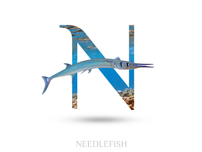 Needlefish alphabate black wolf creative graphics design n needlefish typography