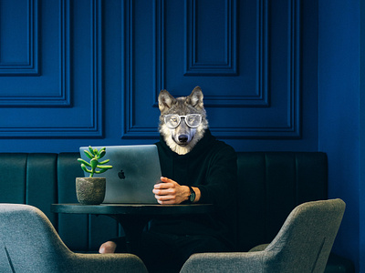 Wolf At Meetinng In Cafe