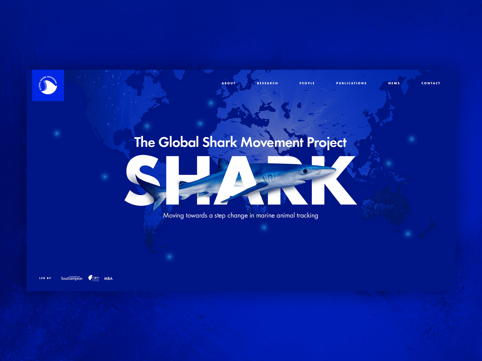 Global Shark Movement Project by REDNECK media on Dribbble