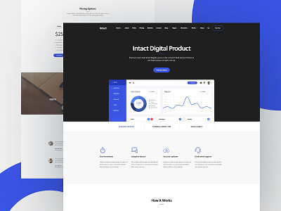 Digital Product digital product intact landing page multipurpose startup webdesign website website design wordpress wordpress theme