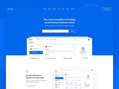 Software Landing Page