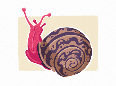 Snail art gastropod illustration red snail vector