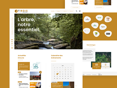 Fibois - Regional wood industry webdesign bois bretagne concept diary events france industrial industry news newsletter research search timber ui ux webdesign wood