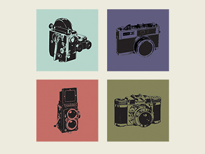 Cams