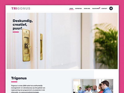 Trigonus consultancy it webdesign