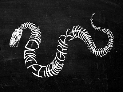 Death Grips black and white bones dark death death grips fangs illustration lettering skeleton snake type typography