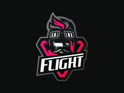 Flight branding caelum esport esports identity illustration logo logotype mascot sport