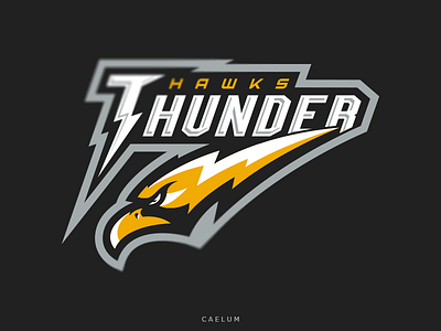 Thunder Hawks branding caelum esport identity logo logotype mascot sport