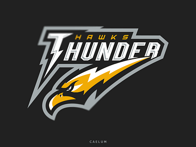 Thunder Hawks