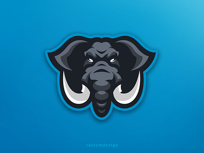 Elephant branding caelum esport hiwow identity logo mascot sport