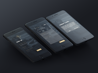 Mobile app with Credit Card info app challenge daily dailyui dark darkui design iphone product productdesign ui ux