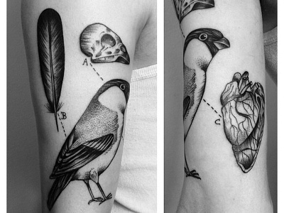 Bird farbenpracht germany illustration miriam frank tattoo miriamfrank munich tattoo artist tattoo girl tattoomunich tätowierung visual art form