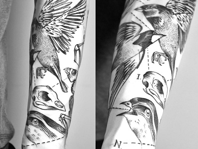 Bird farbenpracht germany illustration miriam frank tattoo miriamfrank munich tattoo artist tattoo girl tattoomunich tätowierung visual art form