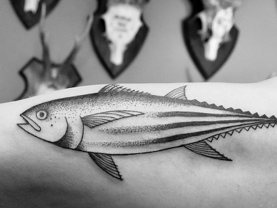 Fish artist girl farbenpracht germany illustration miriam frank miriamfrank tattoo munich tattoomunich tätowierung visual art form