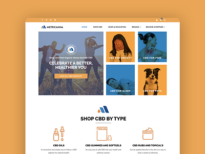 Metricanna CBD Marketplace Website Design cbd website design