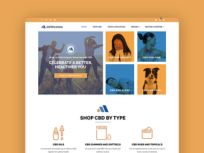 Metricanna CBD Marketplace Website Design