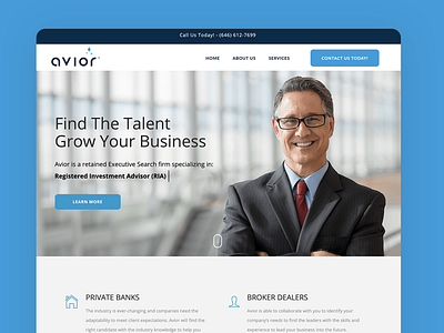 Avior Executive Search website design