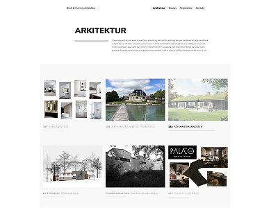 Architect Project page architect clean gallery landing page portfolio ui ux webdesign website