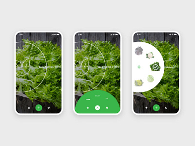 Salat MixerApp app design salat ui