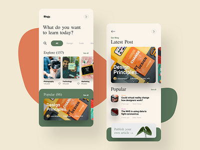 Blogy. app blog design green iphone learn orange shop ui