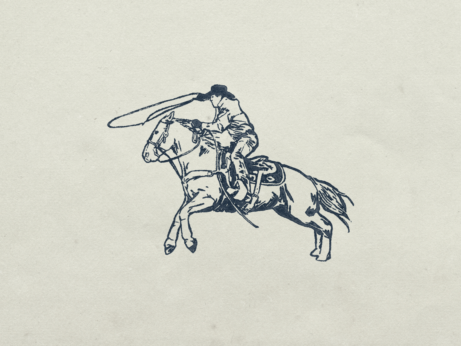 Lasso by Cam O'Brien on Dribbble