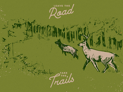 Leave the road, take the trails deer drawing explore hiking illustration nature nature illustration outdoors vintage